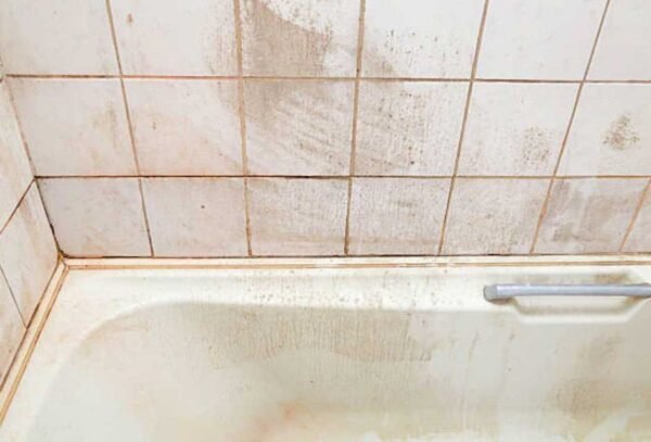 Prevent Pink Mould in the Shower