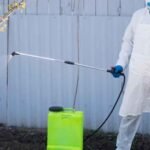 Navigating Pest Management Plans to Keep Your Property Safe and Clean