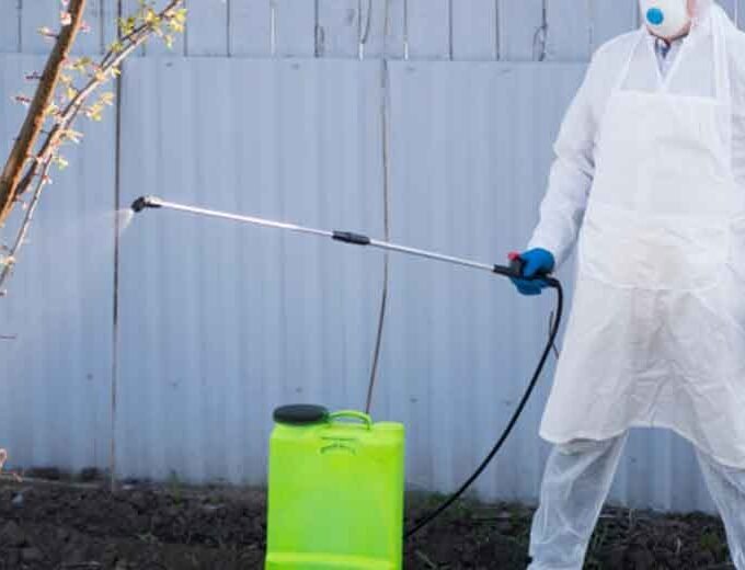 Navigating Pest Management Plans to Keep Your Property Safe and Clean