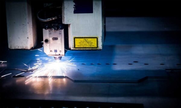 Exploring Nature-Inspired Designs in Laser Cutting