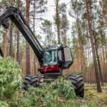 Transforming Outdoor Spaces: Best Sustainable Land Clearing Techniques