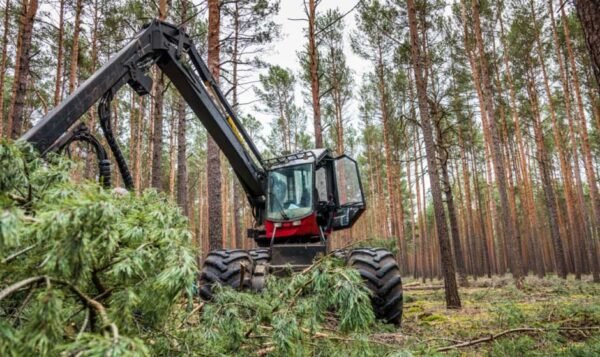 Transforming Outdoor Spaces: Best Sustainable Land Clearing Techniques