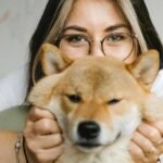 5 Essential Tips for Being a Responsible Dog Owner