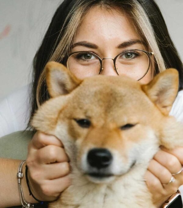 5 Essential Tips for Being a Responsible Dog Owner