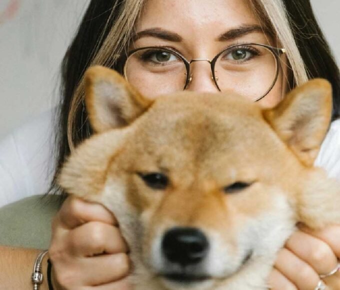 5 Essential Tips for Being a Responsible Dog Owner