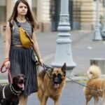 Loving Pet Sitter Personalized Care for Your Pets