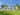 Lush Lawns 101: 5 Simple Tips for a Greener Yard