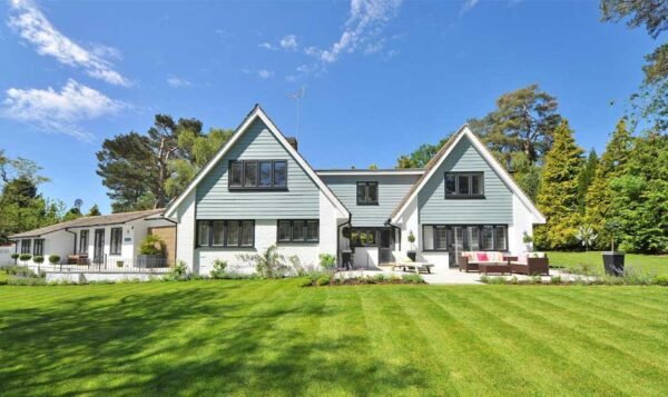 Lush Lawns 101: 5 Simple Tips for a Greener Yard