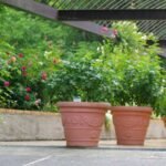 Maximizing Garden Efficiency with Spot Sprayers