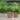 Maximizing Garden Efficiency with Spot Sprayers