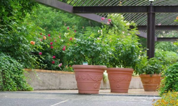 Maximizing Garden Efficiency with Spot Sprayers