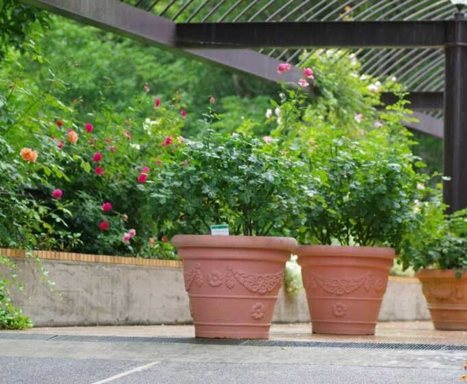 Maximizing Garden Efficiency with Spot Sprayers