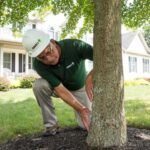 Expert Lawn Care Services in Clarkston, Washington