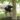 Expert Lawn Care Services in Clarkston, Washington