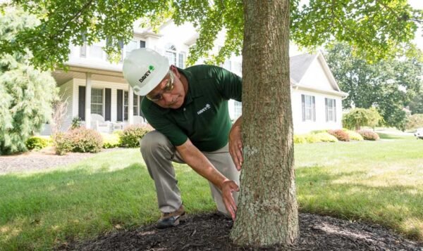 Expert Lawn Care Services in Clarkston, Washington