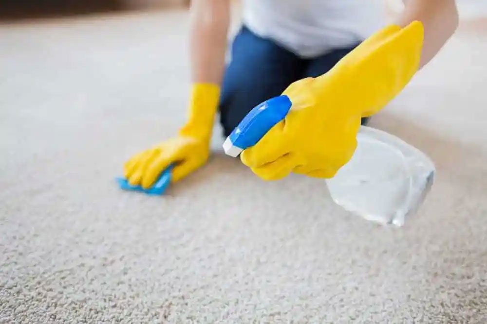 How to Clean Carpets Without Renting a Machine