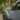 What-is-Overlanding-A-Beginner's-Guide-to-the-Ultimate-Vehicle-Adventure-(1)