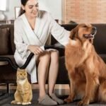 Winter Drying Mistakes That Make Your Pet Colder: What Every Owner Should Avoid