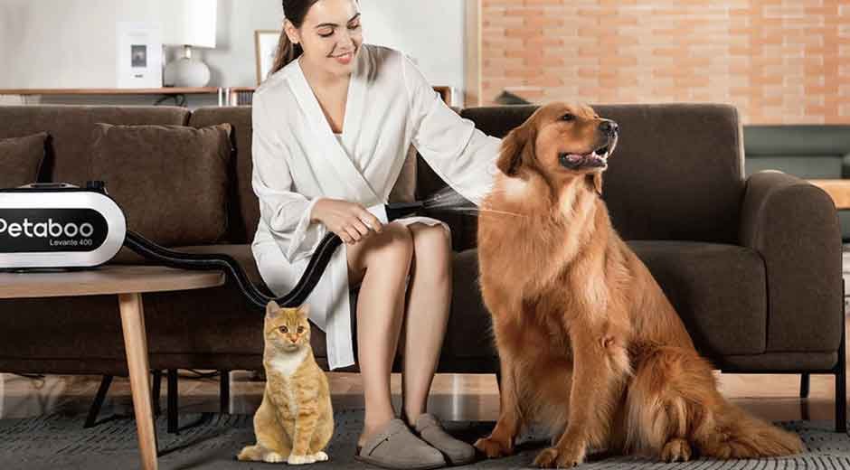 Winter Drying Mistakes That Make Your Pet Colder: What Every Owner Should Avoid