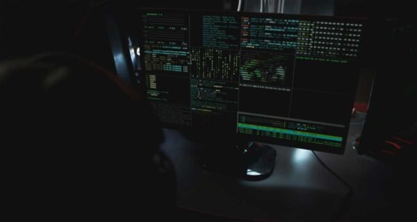 How Digital Security Impacts Businesses and Individuals