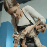 Signs-That-Your-Pet-Would-Benefit-F