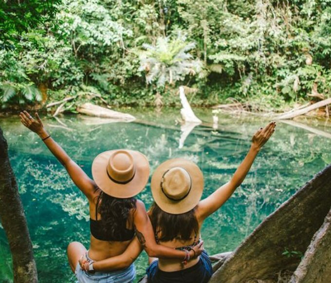 Daintree Rainforest Tours from Cairns