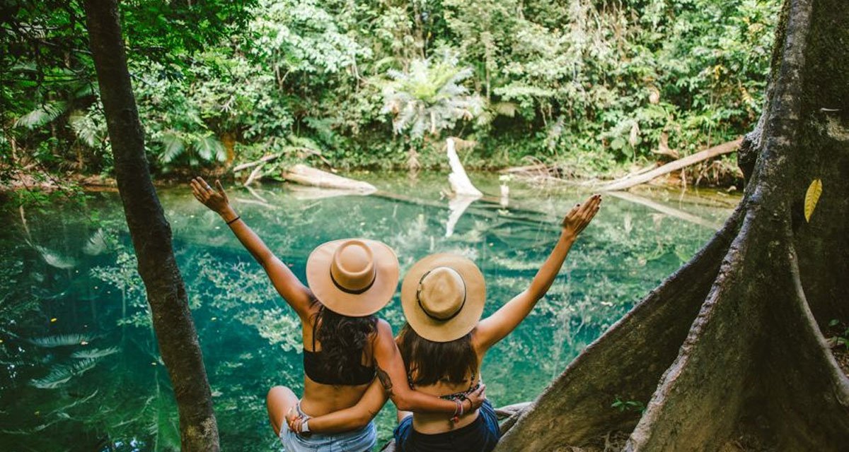 Daintree Rainforest Tours from Cairns