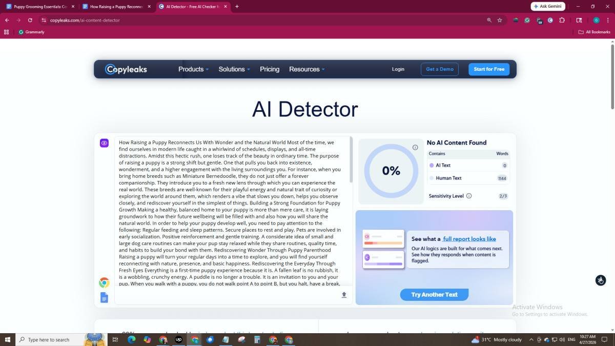 how-raising-a-puppy-reconnects-us-with-wonder-and-2