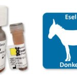 Why Donkey Serum Remains a Niche but Irreplaceable Tool in Immunological Research