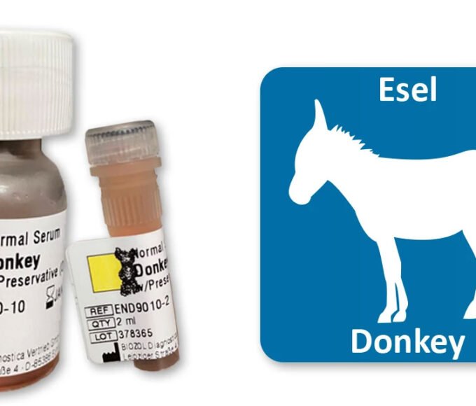 Why Donkey Serum Remains a Niche but Irreplaceable Tool in Immunological Research