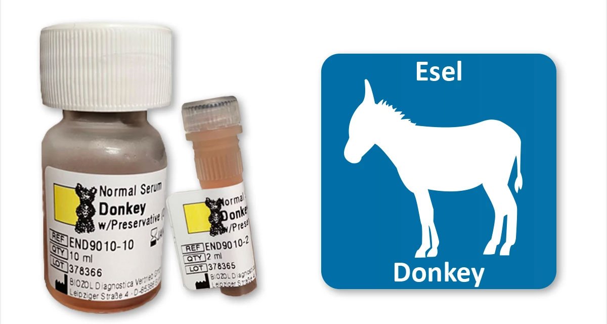 Why Donkey Serum Remains a Niche but Irreplaceable Tool in Immunological Research