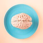 Incredible Facts You Should Know About The Brain And Your Health