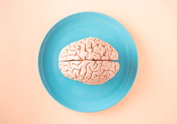 Incredible Facts You Should Know About The Brain And Your Health